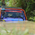 voltronic-borneo-safari-2013_20.jpg